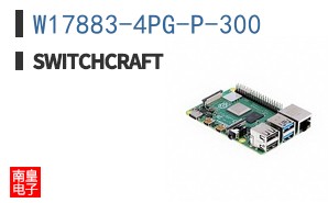 W17883-4PG-P-300