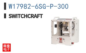 W17982-6SG-P-300