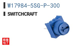 W17984-5SG-P-300