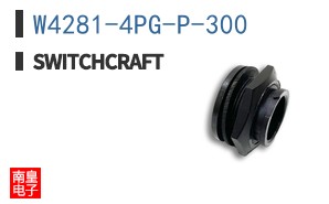 W4281-4PG-P-300