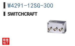 W4291-12SG-300