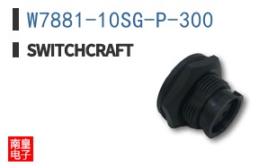 W7881-10SG-P-300