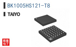 BK1005HS121-T8