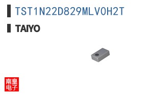 TST1N22D829MLV0H2T