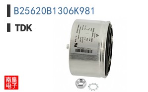 B25620B1306K981