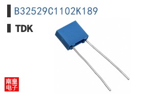 B32529C1102K189