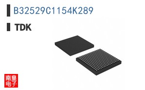 B32529C1154K289