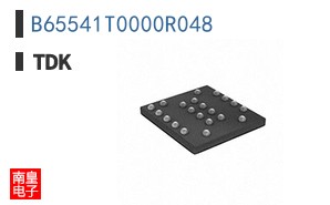 B65541T0000R048