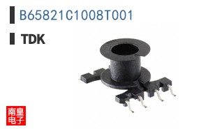 B65821C1008T001