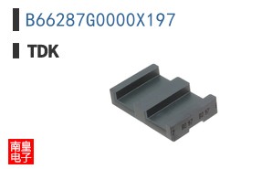 B66287G0000X197