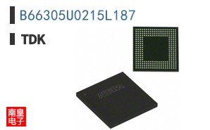 B66305U0215L187