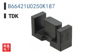 B66421U0250K187