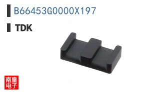 B66453G0000X197