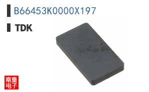 B66453K0000X197