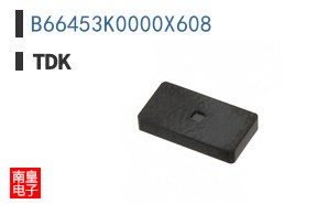 B66453K0000X608