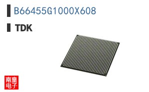 B66455G1000X608