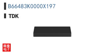 B66483K0000X197