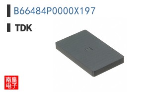 B66484P0000X197