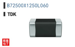 B72500X1250L060