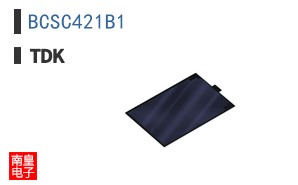 BCSC421B1