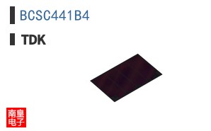 BCSC441B4