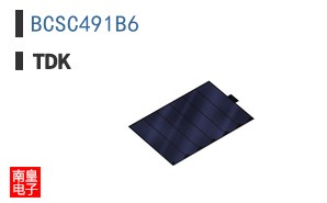 BCSC491B6