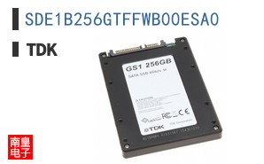 SDE1B256GTFFWB00ESA0