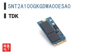 SNT2A100GKGDWA00ESA0