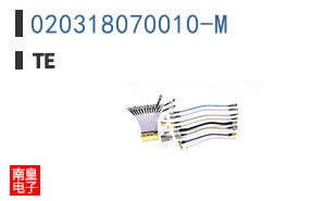 020318070010-M