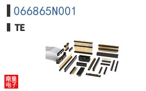 066865N001