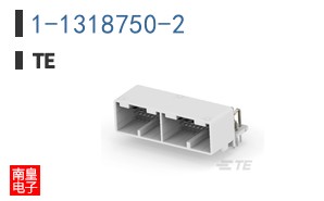 1-1318750-2