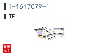 1-1617079-1