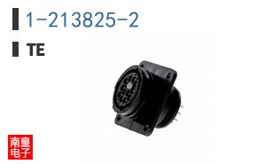 1-213825-2