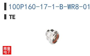 100P160-17-1-B-WR8-01