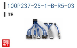 100P237-25-1-B-R5-03