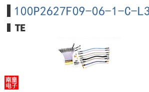 100P2627F09-06-1-C-L30