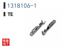 1318106-1