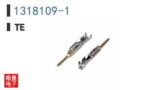 1318109-1