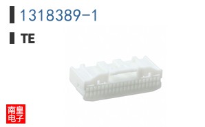 1318389-1