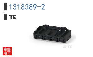 1318389-2