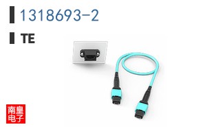 1318693-2