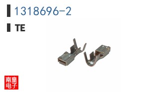 1318696-2