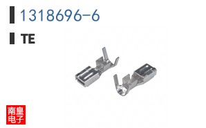 1318696-6