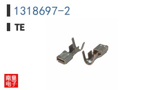 1318697-2