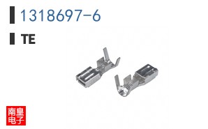 1318697-6