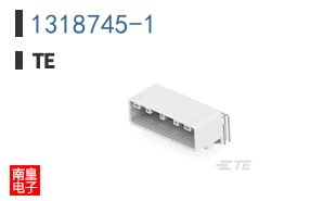1318745-1