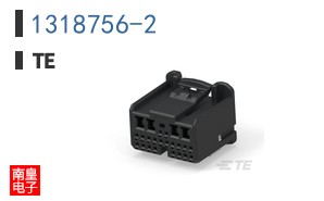1318756-2