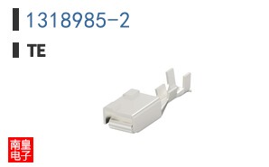 1318985-2