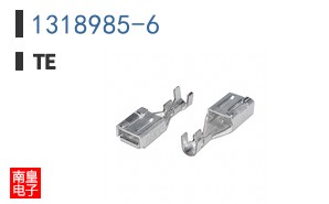 1318985-6
