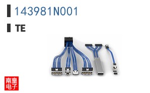 143981N001